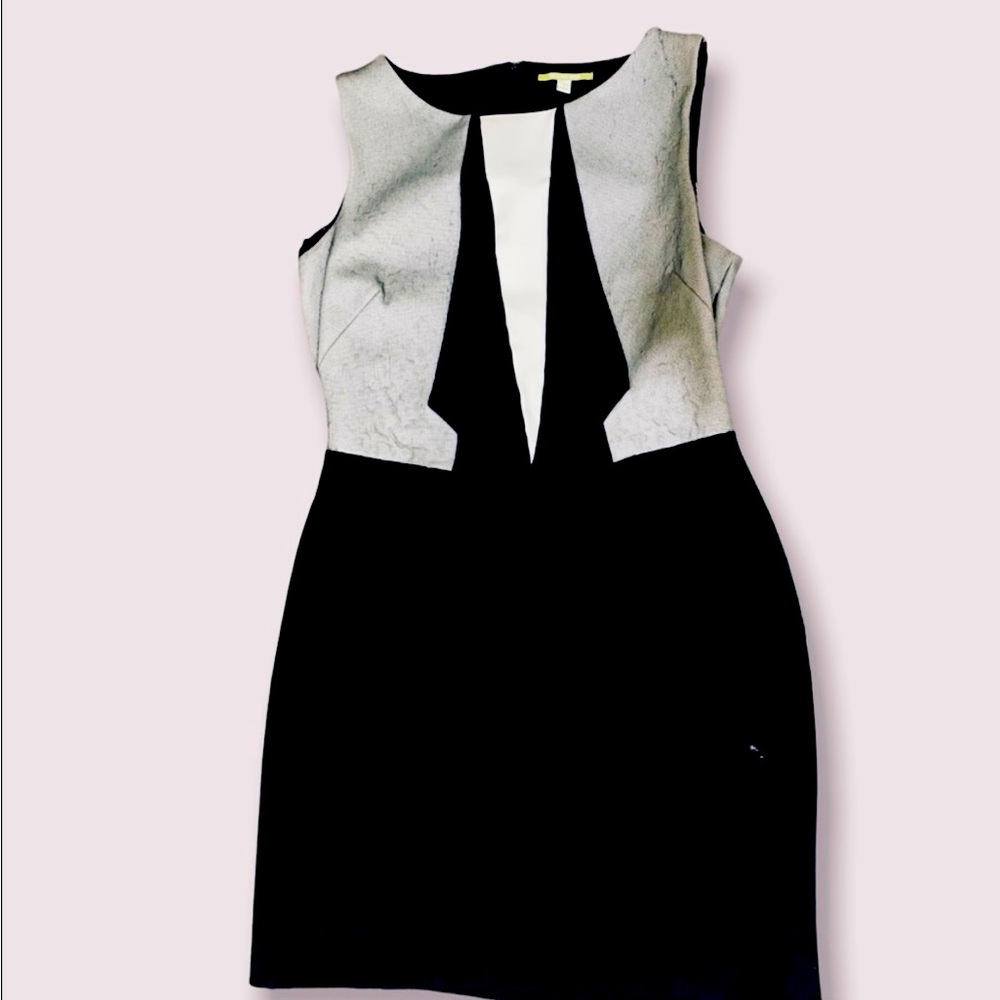 Gianni Bini Dress